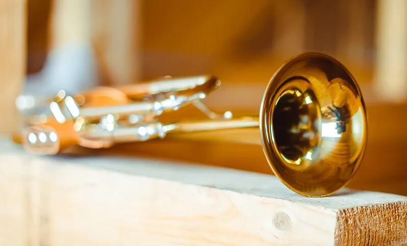 the density of brass affects the sound quality of the instrument