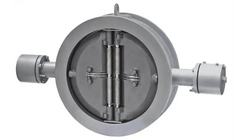double flap high pressure check valve