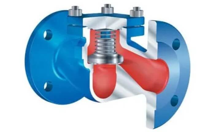 piston high pressure check valve