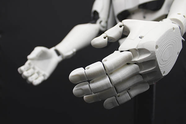 Humanoid Robot Parts